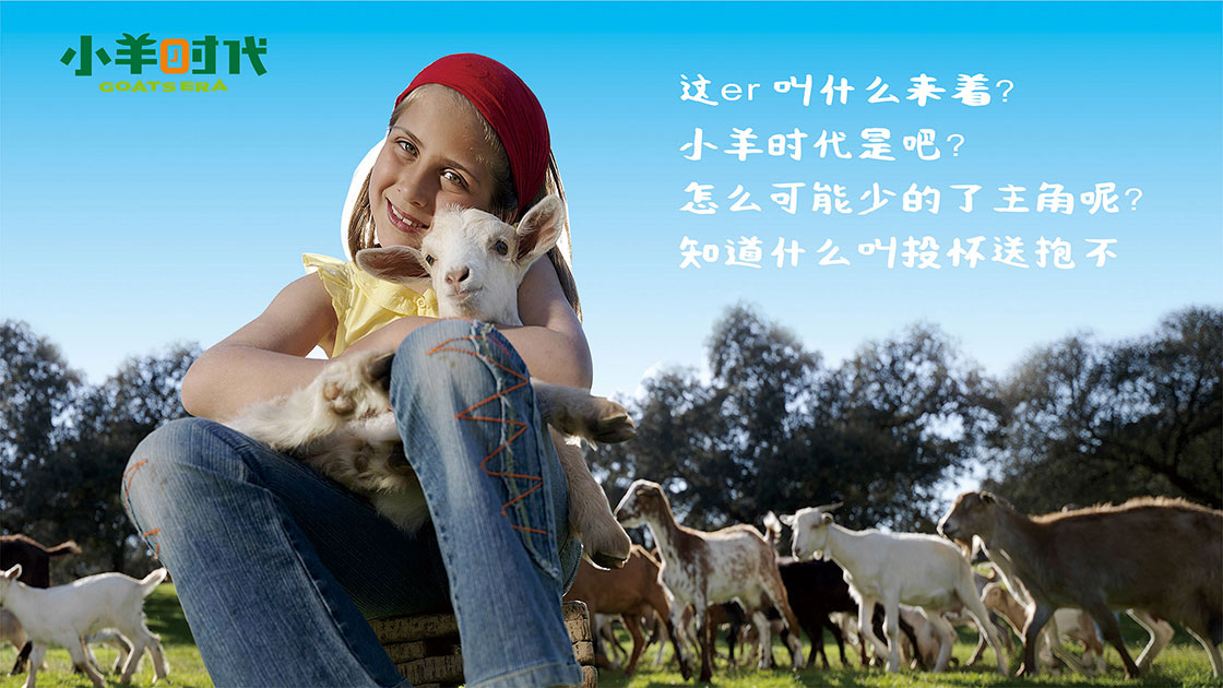 小羊时代