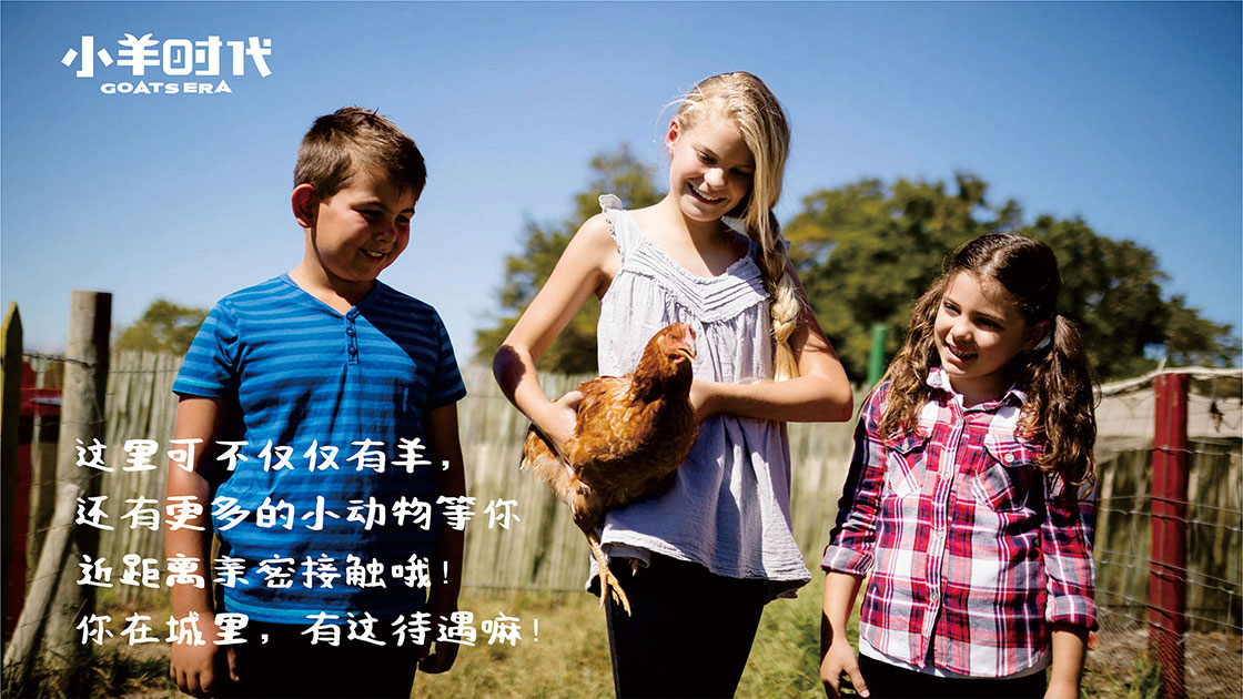 小羊时代