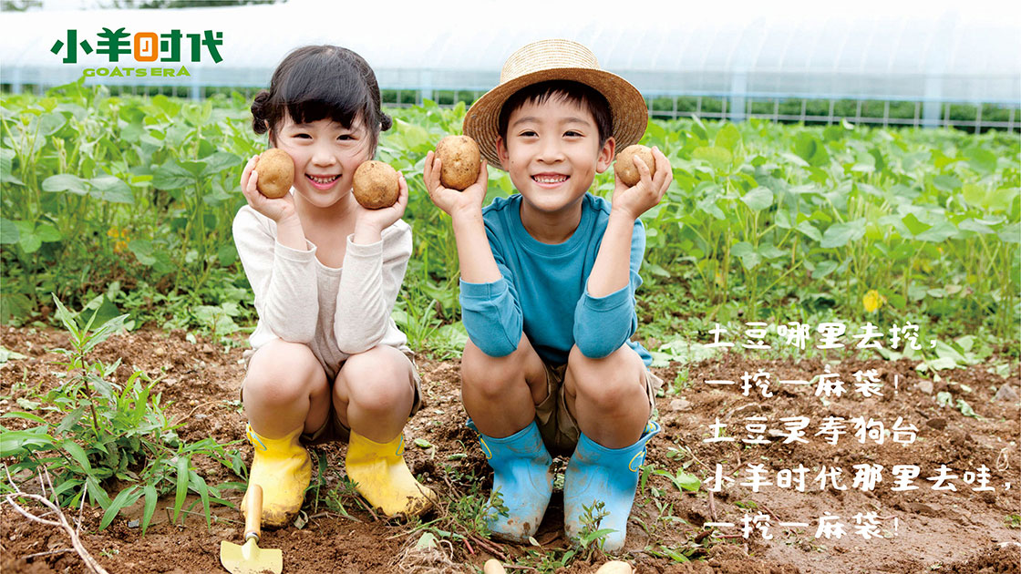 小羊时代