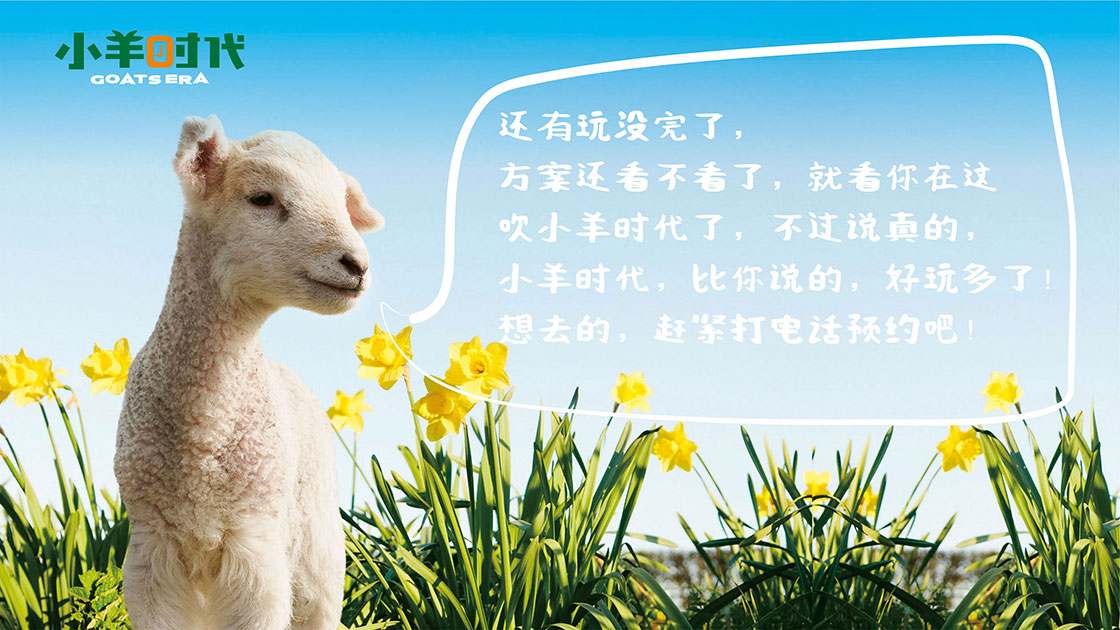 小羊时代